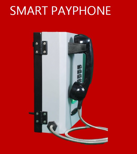 Smartcard Payphone Side view